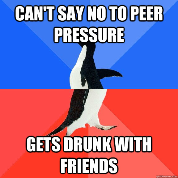 Can't say no to peer pressure Gets drunk with friends - Can't say no to peer pressure Gets drunk with friends  Socially Awkward Awesome Penguin