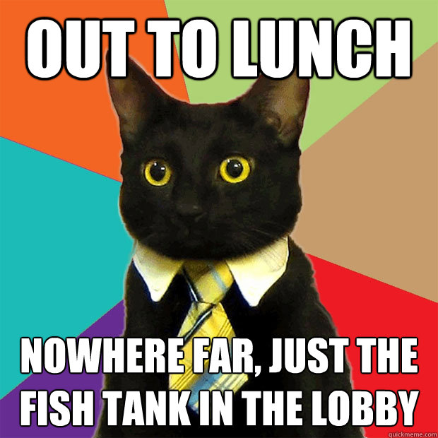 Out to lunch nowhere far, just the fish tank in the lobby  Business Cat