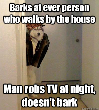 Barks at ever person who walks by the house Man robs TV at night, doesn't bark  Scumbag dog