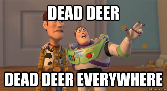 dead deer dead deer everywhere  Toy Story Everywhere