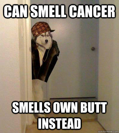 CAN SMELL CANCER SMELLS OWN BUTT INSTEAD  