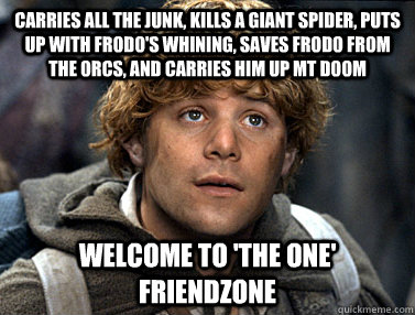 Carries all the junk, Kills a Giant spider, Puts up with Frodo's Whining, Saves Frodo from the Orcs, AND carries him up Mt Doom Welcome to 'the One' Friendzone  Good Guy Samwise Gamgee