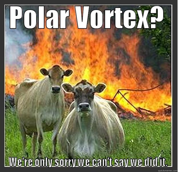 POLAR VORTEX? WE'RE ONLY SORRY WE CAN'T SAY WE DID IT. Evil cows