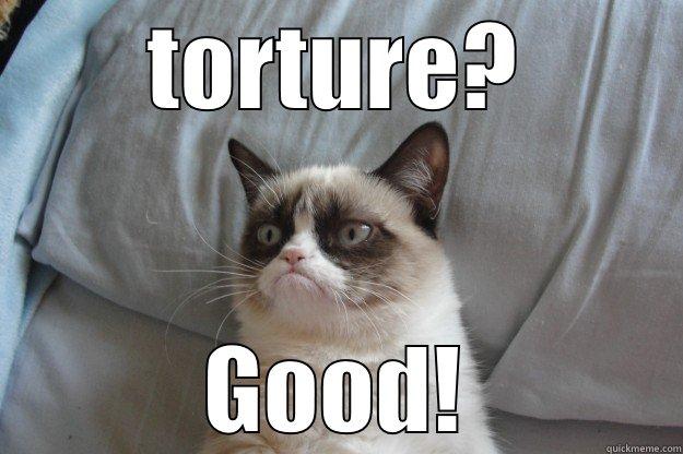 TORTURE? GOOD! Grumpy Cat