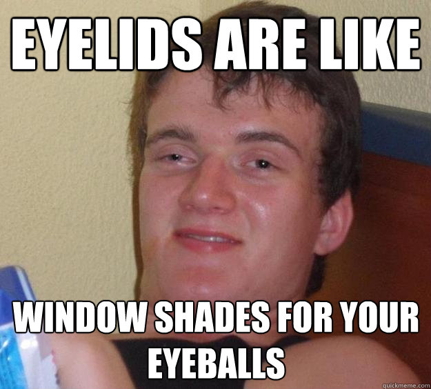 Eyelids are like Window shades for your eyeballs  10 Guy