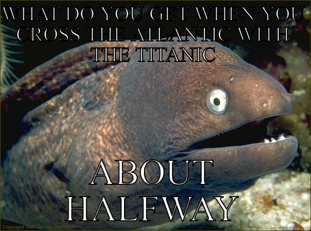 Too soon? - WHAT DO YOU GET WHEN YOU CROSS THE ATLANTIC WITH THE TITANIC ABOUT HALFWAY Bad Joke Eel