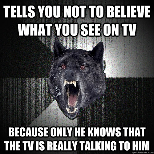 Tells you not to believe what you see on tv Because only he knows that the tv is really talking to him  Insanity Wolf