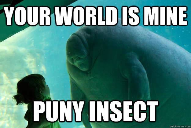 your world is mine puny insect  Overlord Manatee