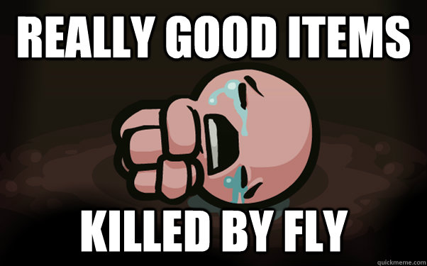 REALLY GOOD ITEMS KILLED BY FLY  The Binding of Isaac