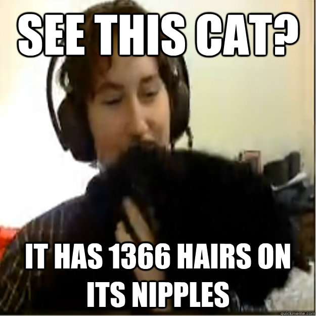 see this cat? it has 1366 hairs on its nipples - see this cat? it has 1366 hairs on its nipples  Syntax