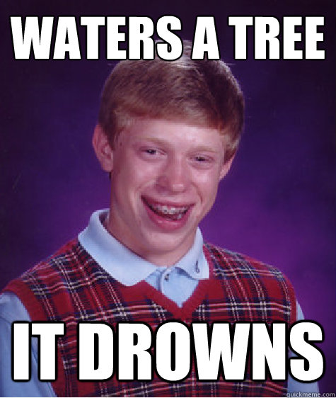 waters a tree it drowns  Bad Luck Brian