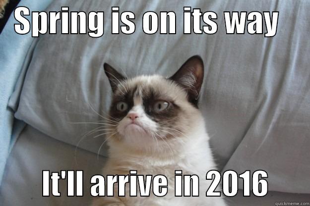   SPRING IS ON ITS WAY              IT'LL ARRIVE IN 2016       Grumpy Cat