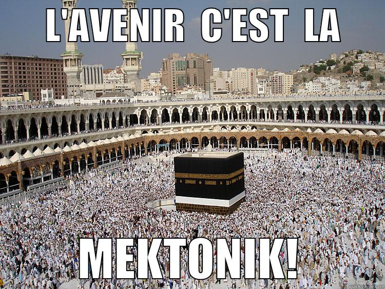       L'AVENIR  C'EST  LA       MEKTONIK! Misc