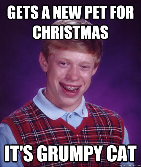 Gets a New Pet For Christmas It's Grumpy Cat - Gets a New Pet For Christmas It's Grumpy Cat  Bad Luck Brian