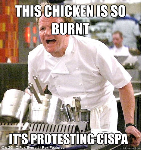 this chicken is so burnt it's protesting cispa  gordon ramsay