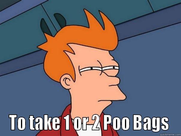  TO TAKE 1 OR 2 POO BAGS Futurama Fry