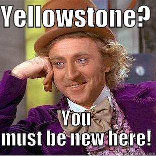 YELLOWSTONE?  YOU MUST BE NEW HERE! Creepy Wonka