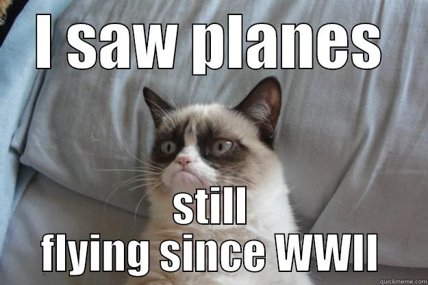 I SAW PLANES STILL FLYING SINCE WWII Grumpy Cat