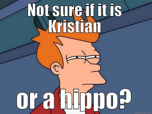 NOT SURE IF IT IS KRISTIAN OR A HIPPO? Futurama Fry