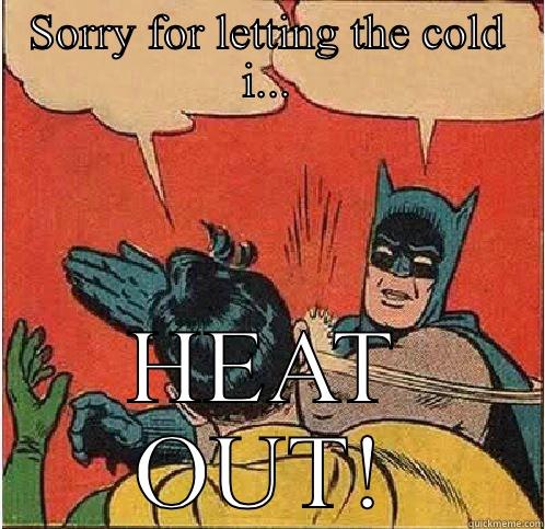 SORRY FOR LETTING THE COLD I... HEAT OUT! Batman Slapping Robin