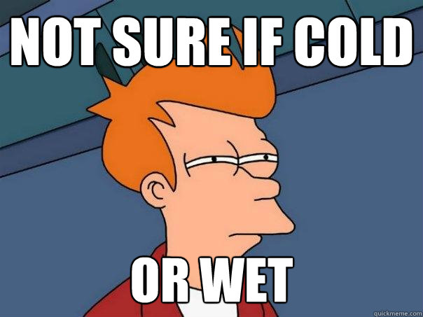 Not sure if cold Or wet  Futurama Fry