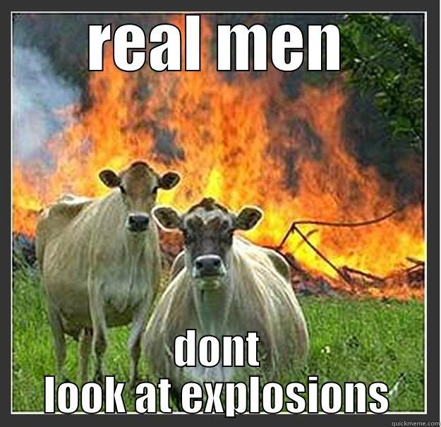 REAL MEN DONT LOOK AT EXPLOSIONS Evil cows