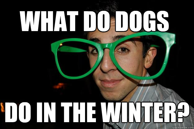 what do dogs do in the winter? - what do dogs do in the winter?  Ignorance Armen