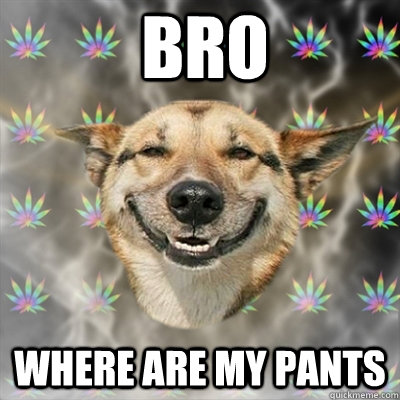 BRO WHERE ARE MY PANTS  Stoner Dog