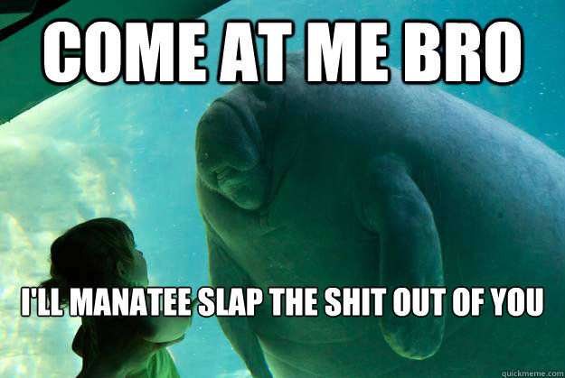 come at me bro i'll manatee slap the shit out of you - come at me bro i'll manatee slap the shit out of you  Overlord Manatee