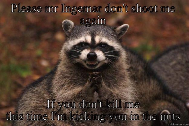 PLEASE MR INGEMAR DON'T SHOOT ME AGAIN IF YOU DON'T KILL ME THIS TIME I'M KICKING YOU IN THE NUTS Evil Plotting Raccoon