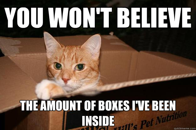 You won't believe the amount of boxes i've been inside  