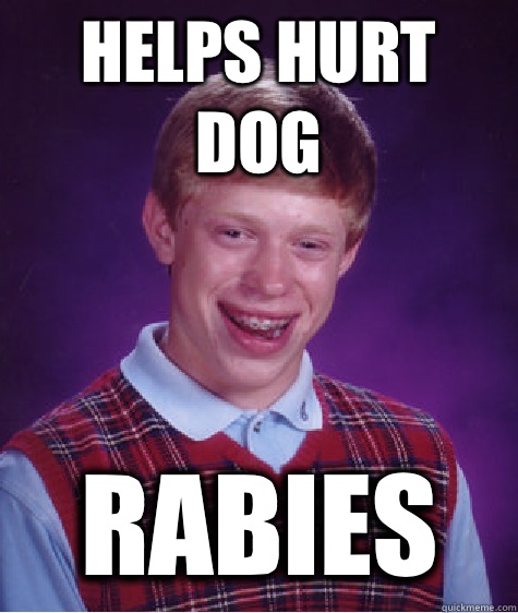 Helps hurt dog Rabies  Bad Luck Brian