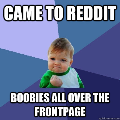 Came to Reddit Boobies all over the Frontpage  Success Kid