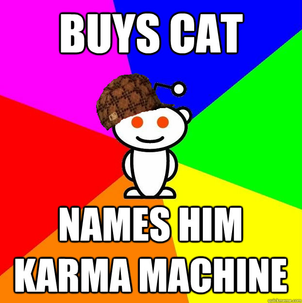 Buys cat Names him karma machine  Scumbag Redditor