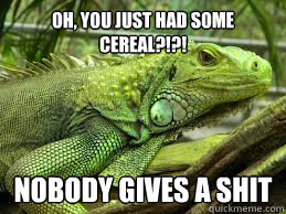 Oh, you just had some cereal?!?! Nobody gives a shit - Oh, you just had some cereal?!?! Nobody gives a shit  Irritated Iguana