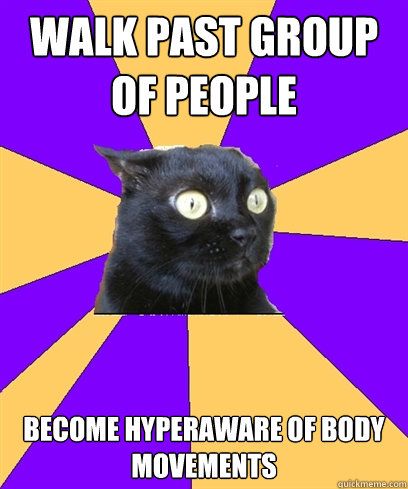 WALK PAST GROUP OF PEOPLE BECOME HYPERAWARE OF BODY MOVEMENTS ____ Caption 4 goes here  Anxiety Cat