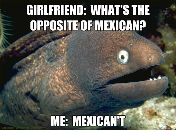 Girlfriend:  What's the opposite of Mexican? Me:  Mexican't  Bad Joke Eel