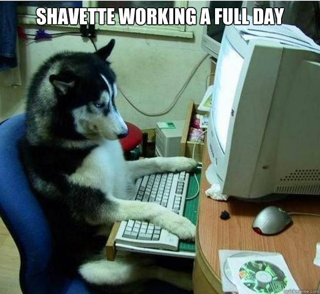Shavette working a full day  - Shavette working a full day   Disapproving Dog