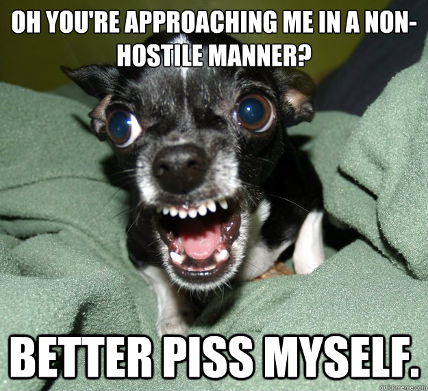 Oh you're approaching me in a non-hostile manner? Better piss myself.  