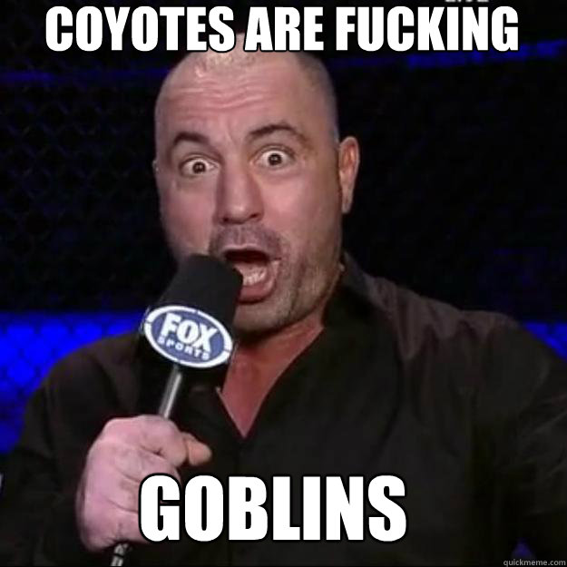 Coyotes are fucking goblins  Joe Rogan