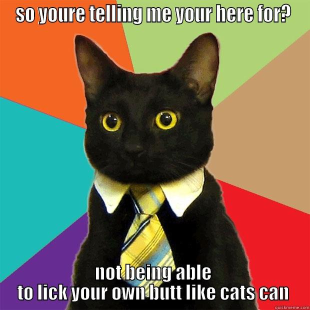 SO YOURE TELLING ME YOUR HERE FOR? NOT BEING ABLE TO LICK YOUR OWN BUTT LIKE CATS CAN Business Cat