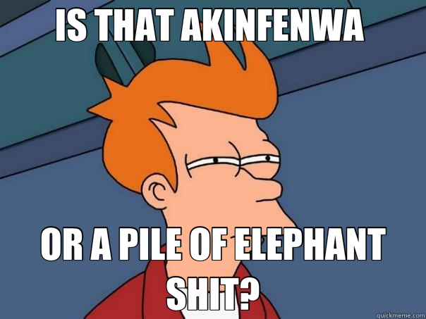 IS THAT AKINFENWA  OR A PILE OF ELEPHANT SHIT? - IS THAT AKINFENWA  OR A PILE OF ELEPHANT SHIT?  Futurama Fry