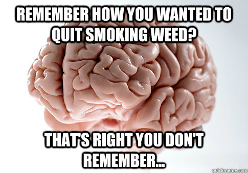 remember how you wanted to quit smoking weed? that's right you don't remember...  Scumbag Brain