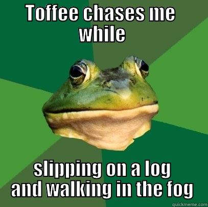 Toffee  - TOFFEE CHASES ME  WHILE SLIPPING ON A LOG AND WALKING IN THE FOG Foul Bachelor Frog