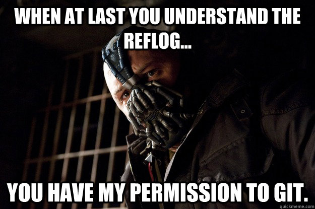 When at last you understand the reflog... You have my permission to git. - When at last you understand the reflog... You have my permission to git.  Angry Bane