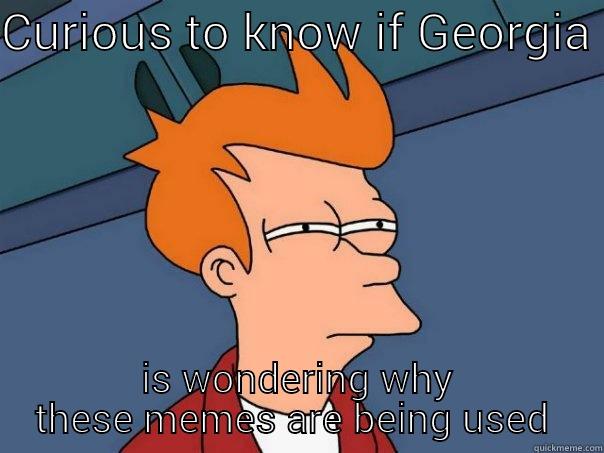 CURIOUS TO KNOW IF GEORGIA  IS WONDERING WHY THESE MEMES ARE BEING USED  Futurama Fry