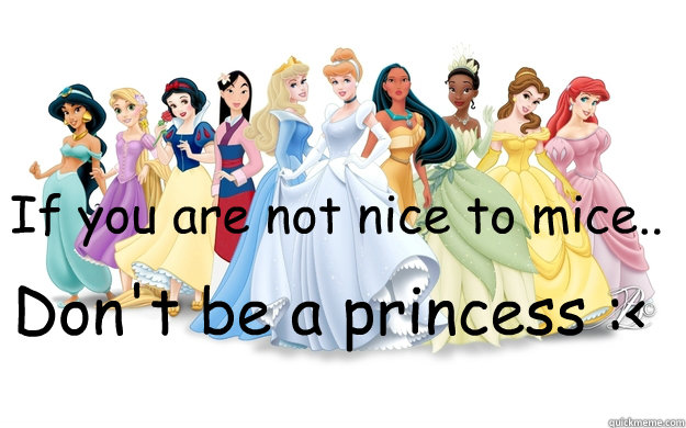 If you are not nice to mice.. Don't be a princess :<  disney princesses