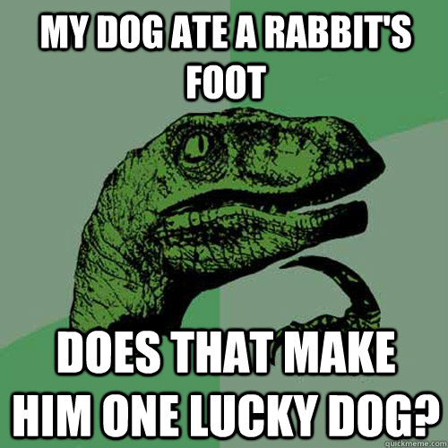 My dog ate a rabbit's foot Does that make him one lucky dog?  Philosoraptor