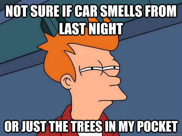 Not sure if car smells from last night Or just the trees in my pocket  Futurama Fry