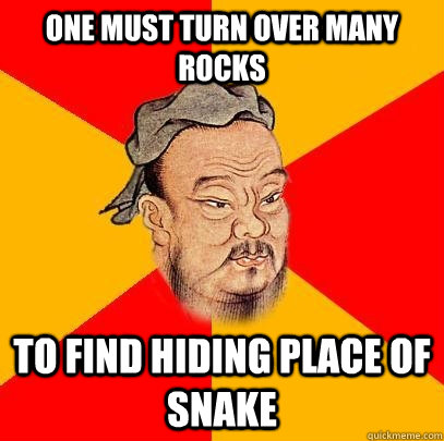 one must turn over many rocks to find hiding place of snake - one must turn over many rocks to find hiding place of snake  Confucius says